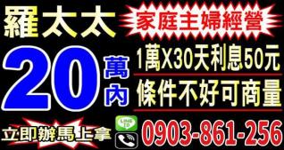 羅太太借款資訊