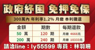 免押免保 300萬內 年利率1.2%