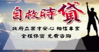 政府立案借款